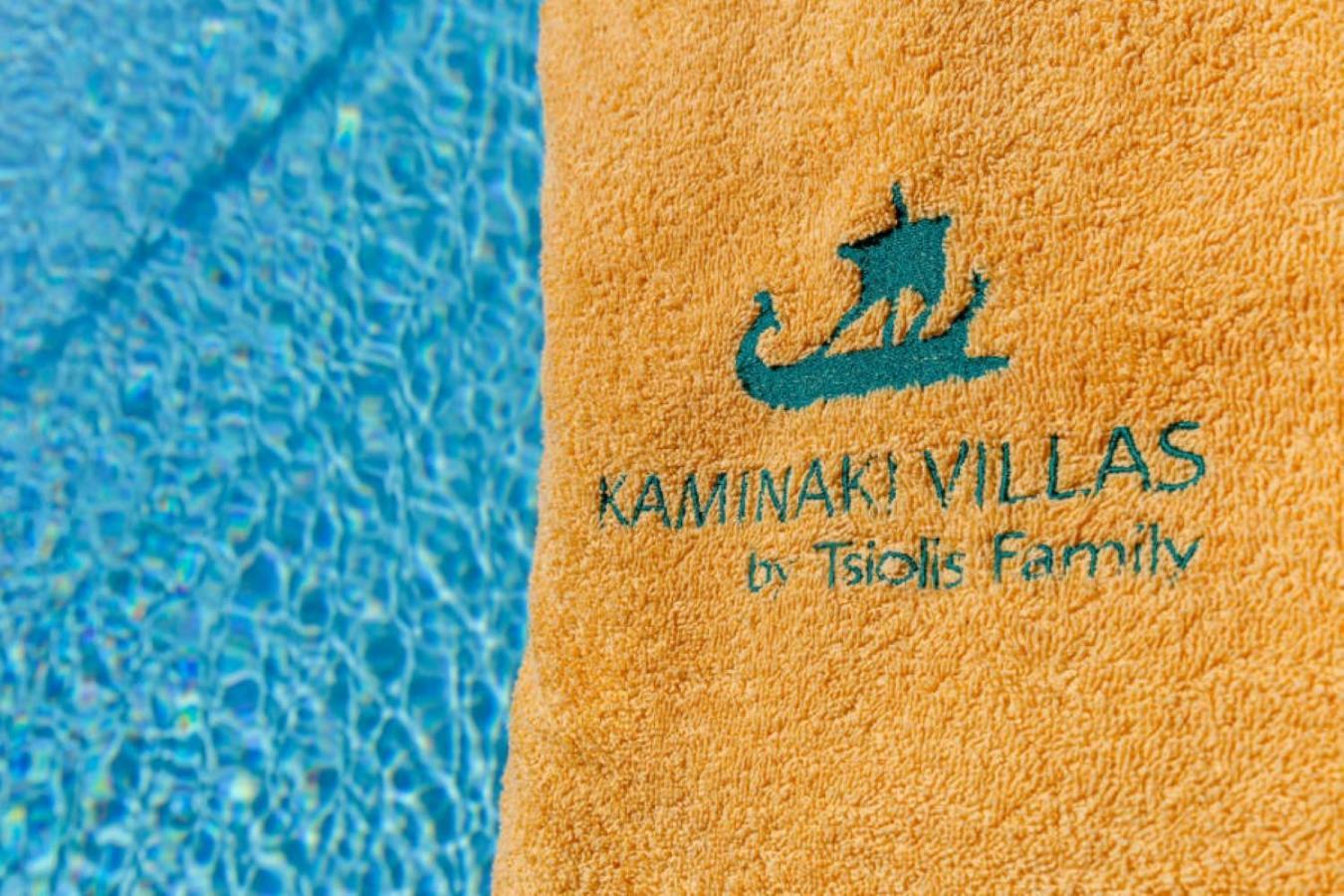 Villa Angeliki By Tsiolis Family Katavolos Exterior photo